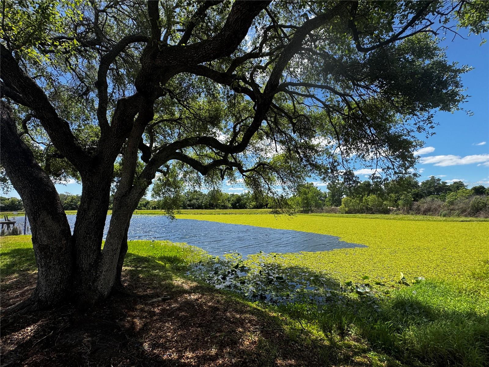 Image 68 of 94 For 1310 Rolling Woods Lane