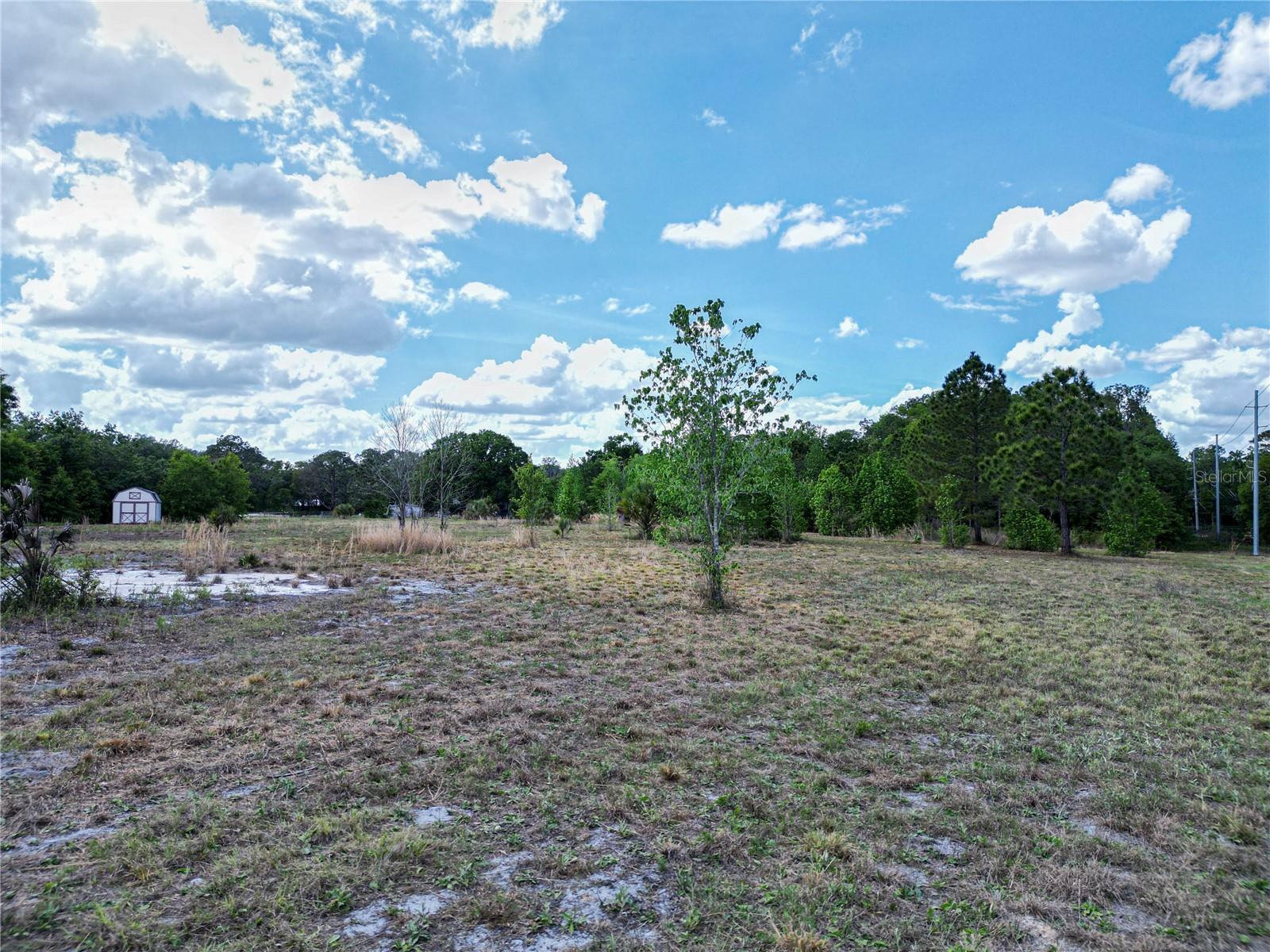 Image 5 of 17 For Coronet Road