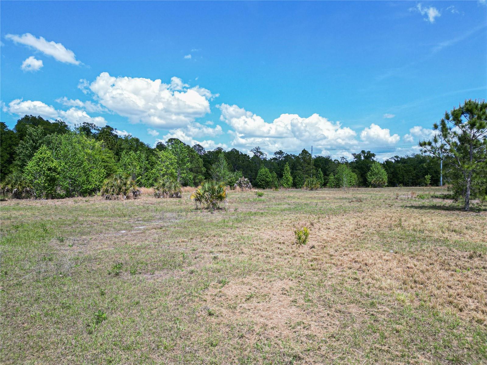 Image 6 of 17 For Coronet Road