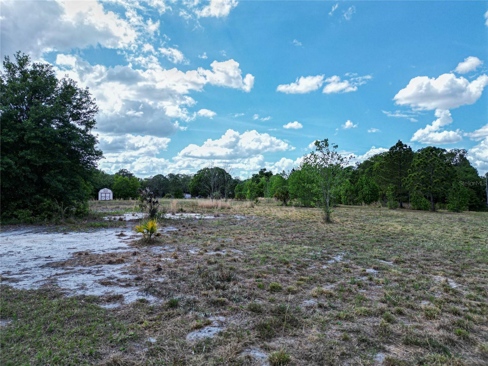Image 8 of 17 For Coronet Road