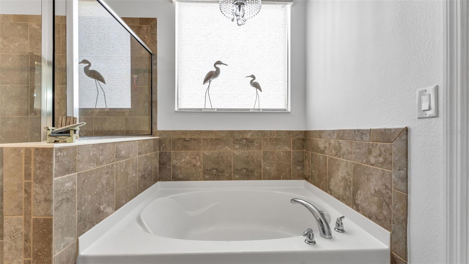 Image 42 of 48 For 2253 Bella Luna Circle