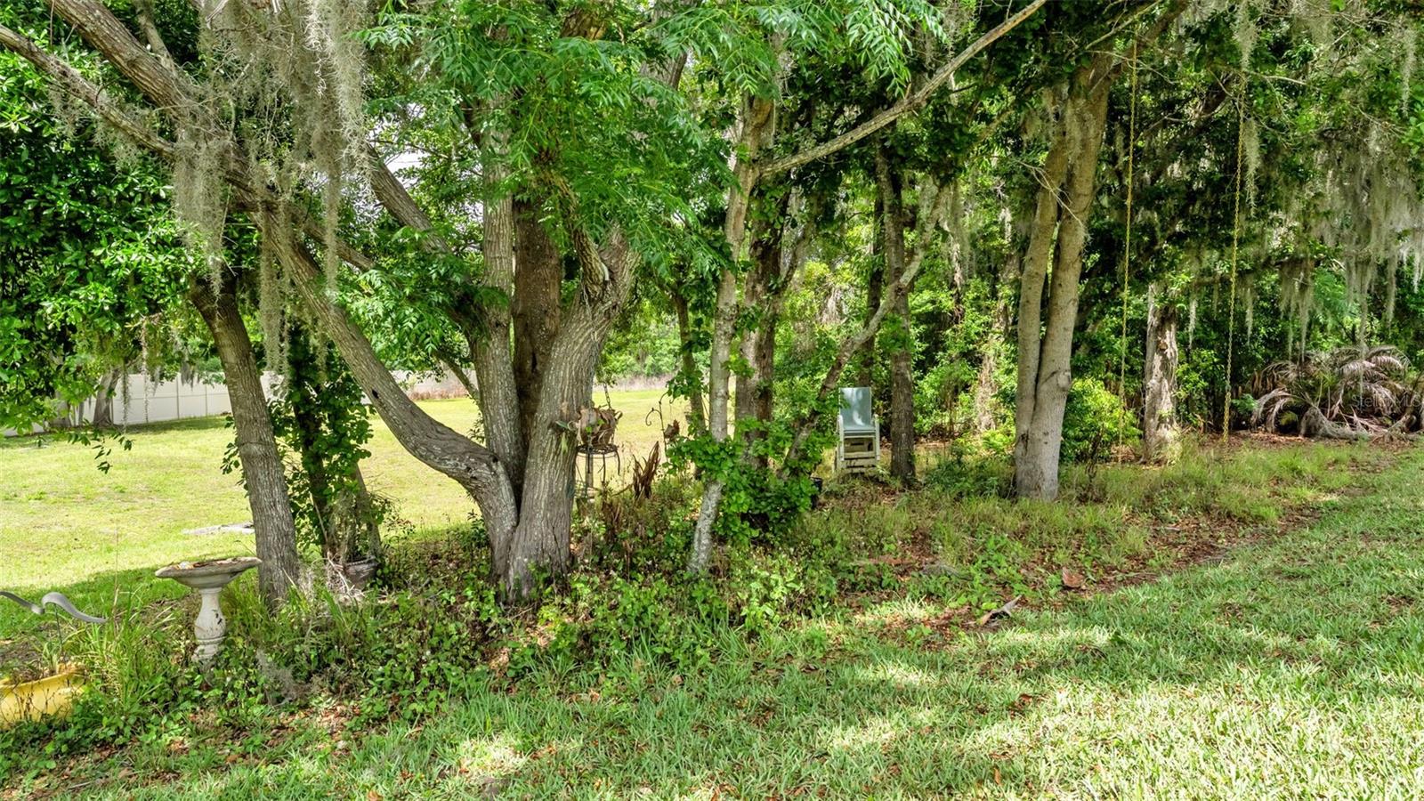 Image 47 of 48 For 2253 Bella Luna Circle