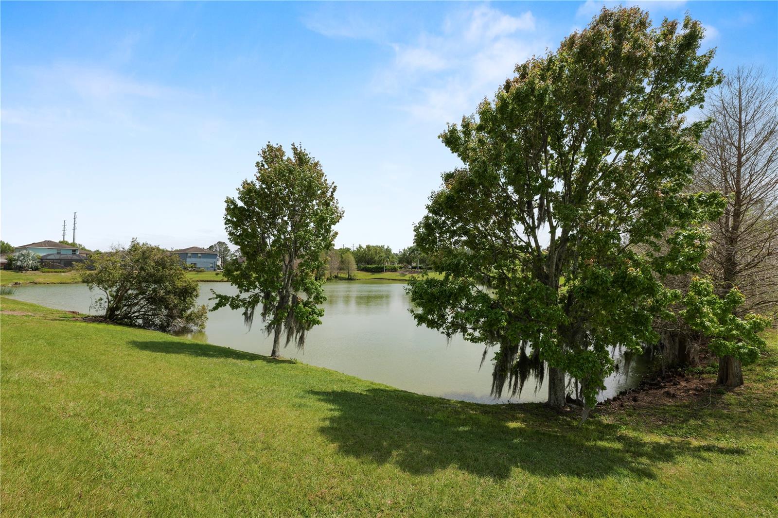 Image 32 of 41 For 30816 Pumpkin Ridge Drive