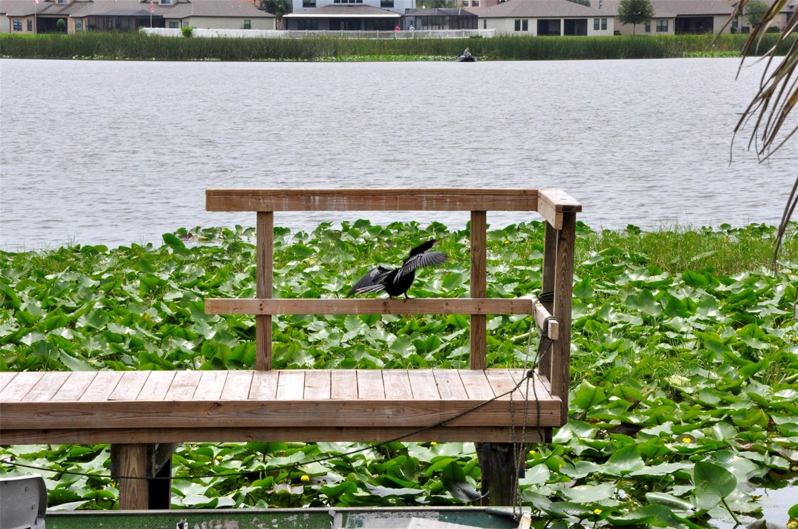 Image 18 of 37 For 1600 Lake Parker Drive A3