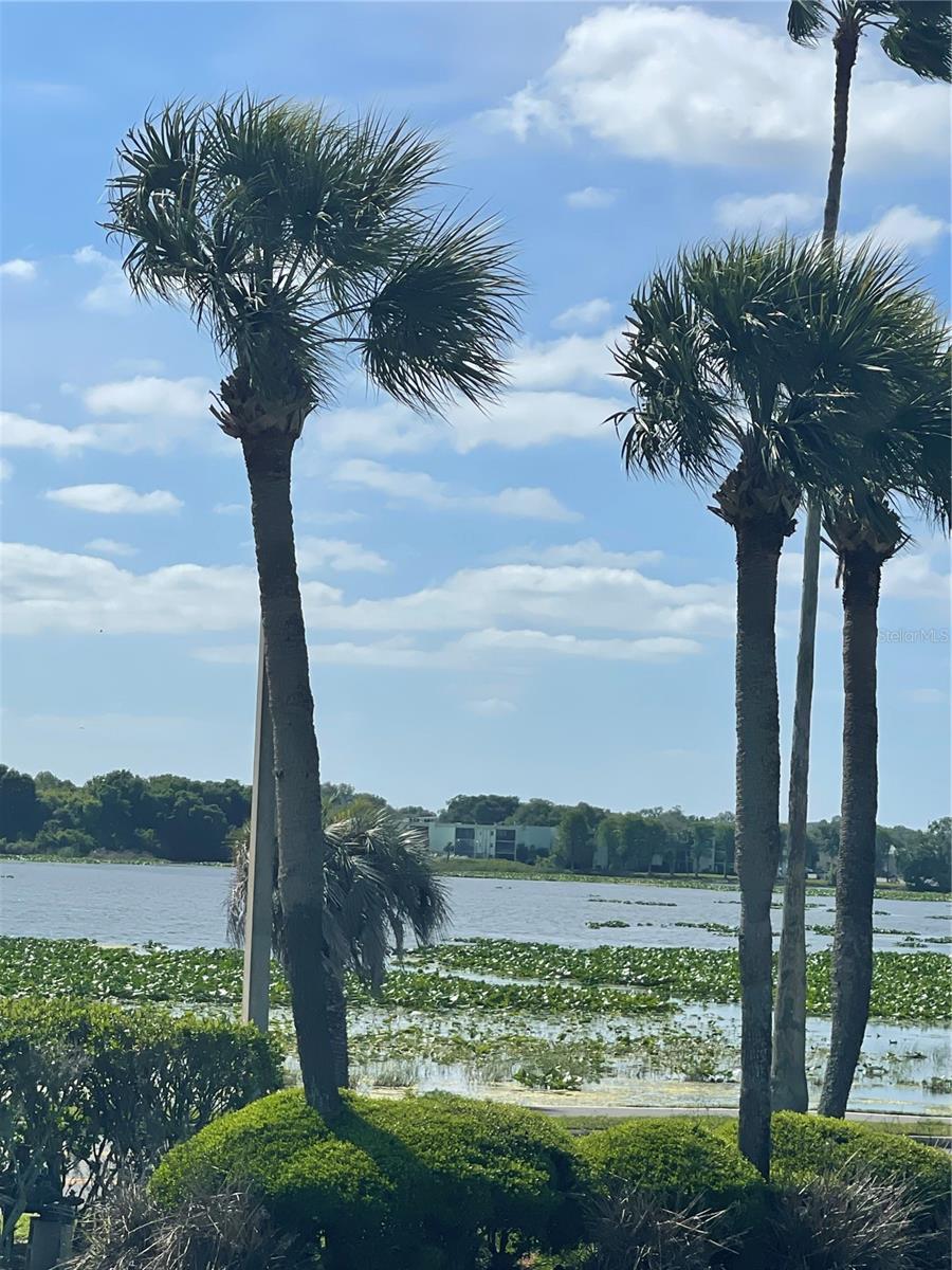 Image 36 of 37 For 1600 Lake Parker Drive A3