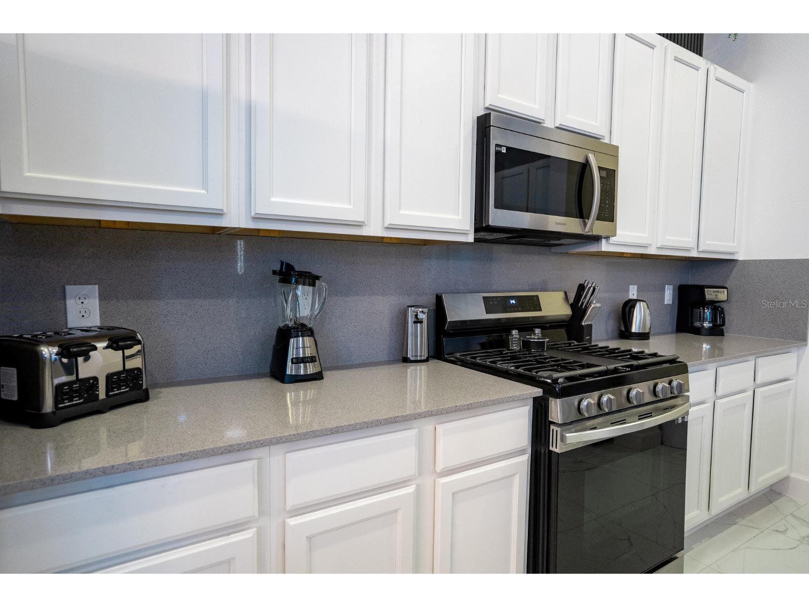 Listing photo id 24 for 1443 Butterfly Milkweed Court