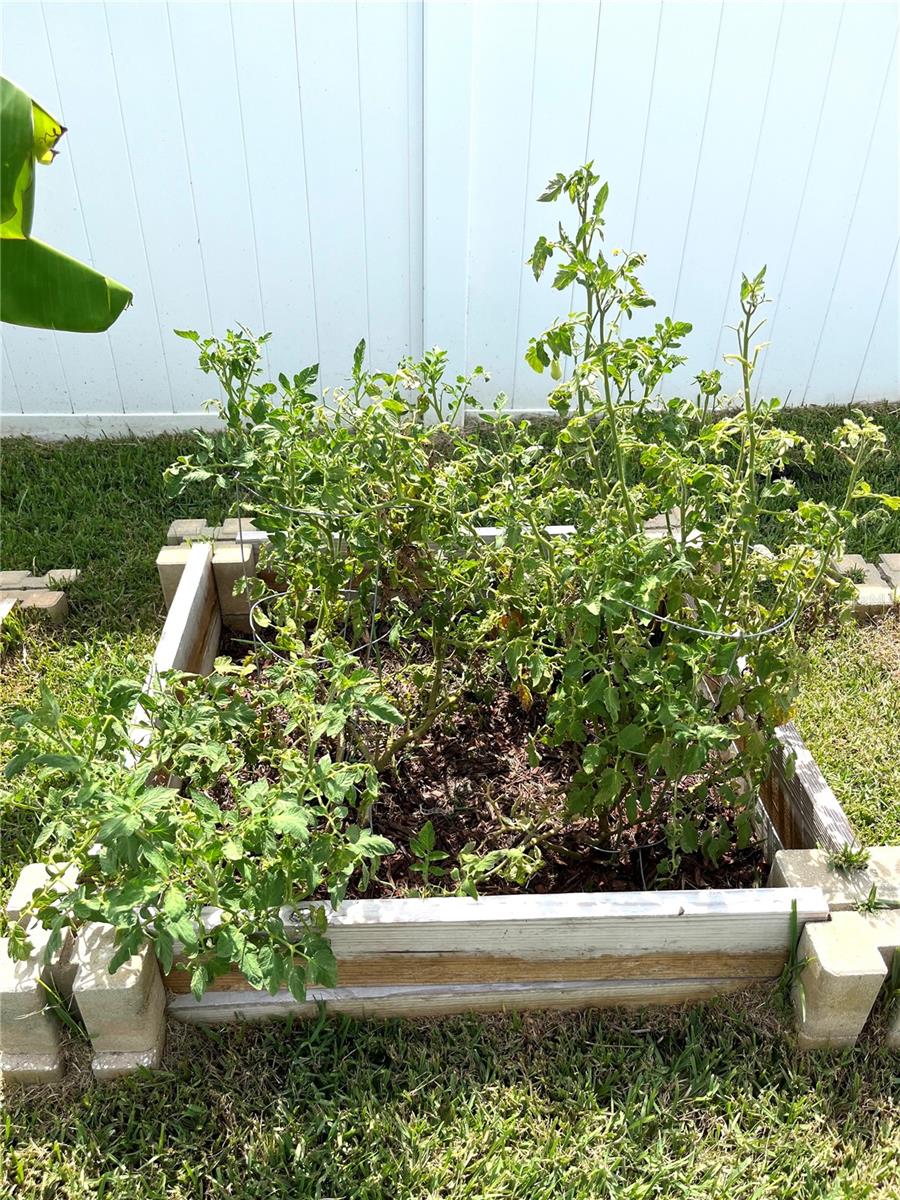 Image 28 of 32 For 1373 Mezzavalle Way