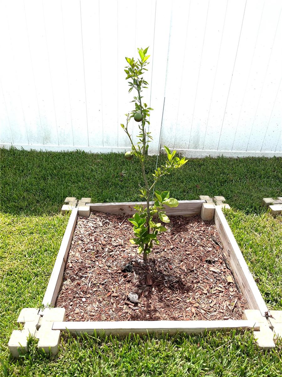 Image 29 of 32 For 1373 Mezzavalle Way