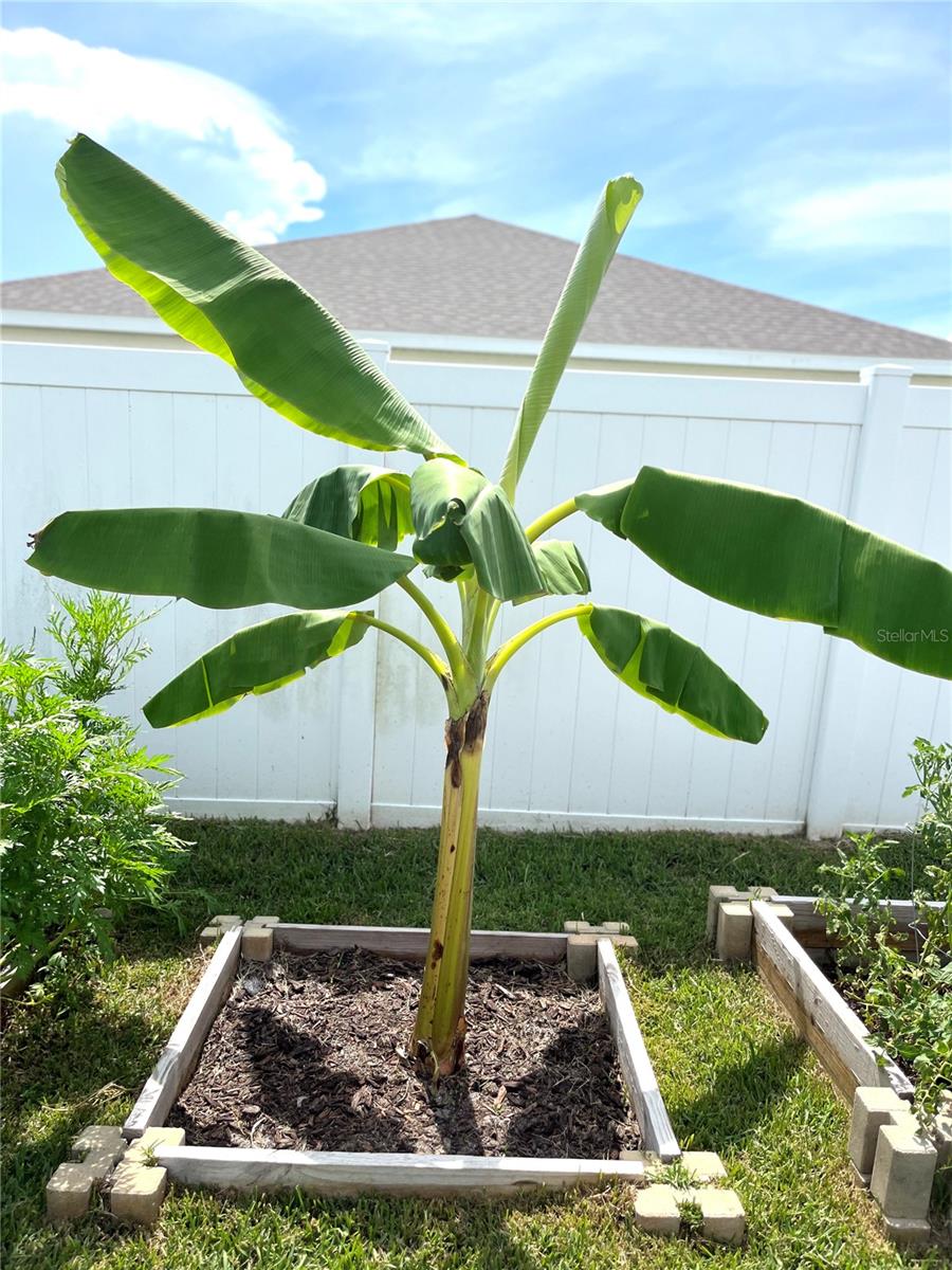 Image 30 of 32 For 1373 Mezzavalle Way