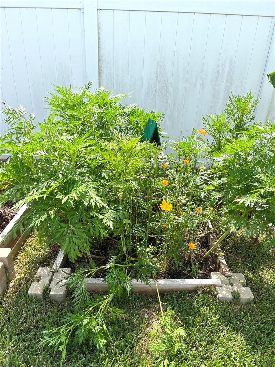 Image 31 of 32 For 1373 Mezzavalle Way