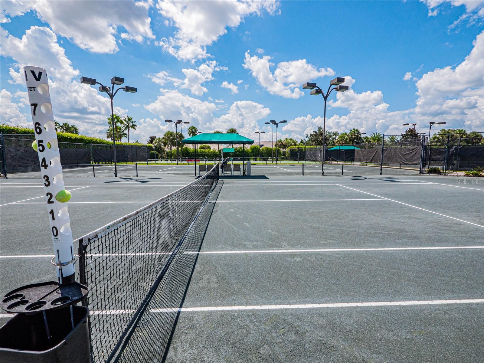 Image 41 of 54 For 774 Grasslands Village Circle 88