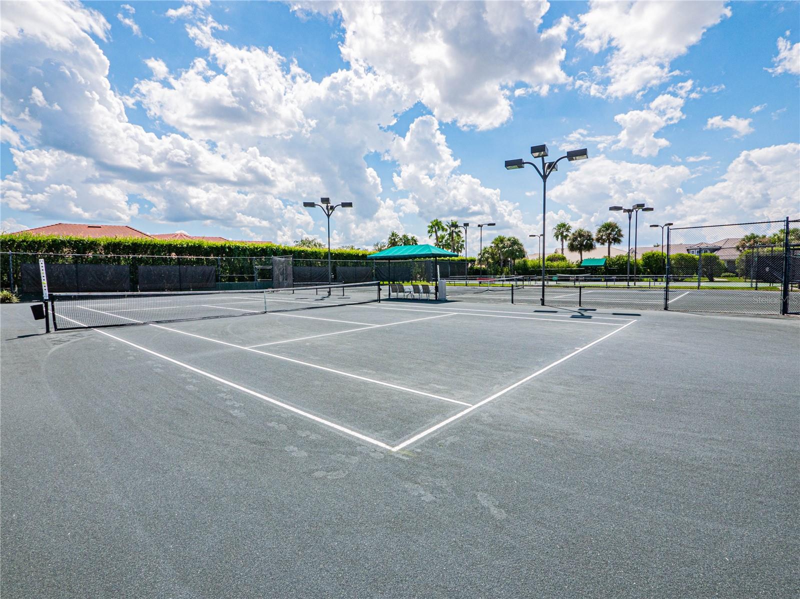 Image 42 of 54 For 774 Grasslands Village Circle 88