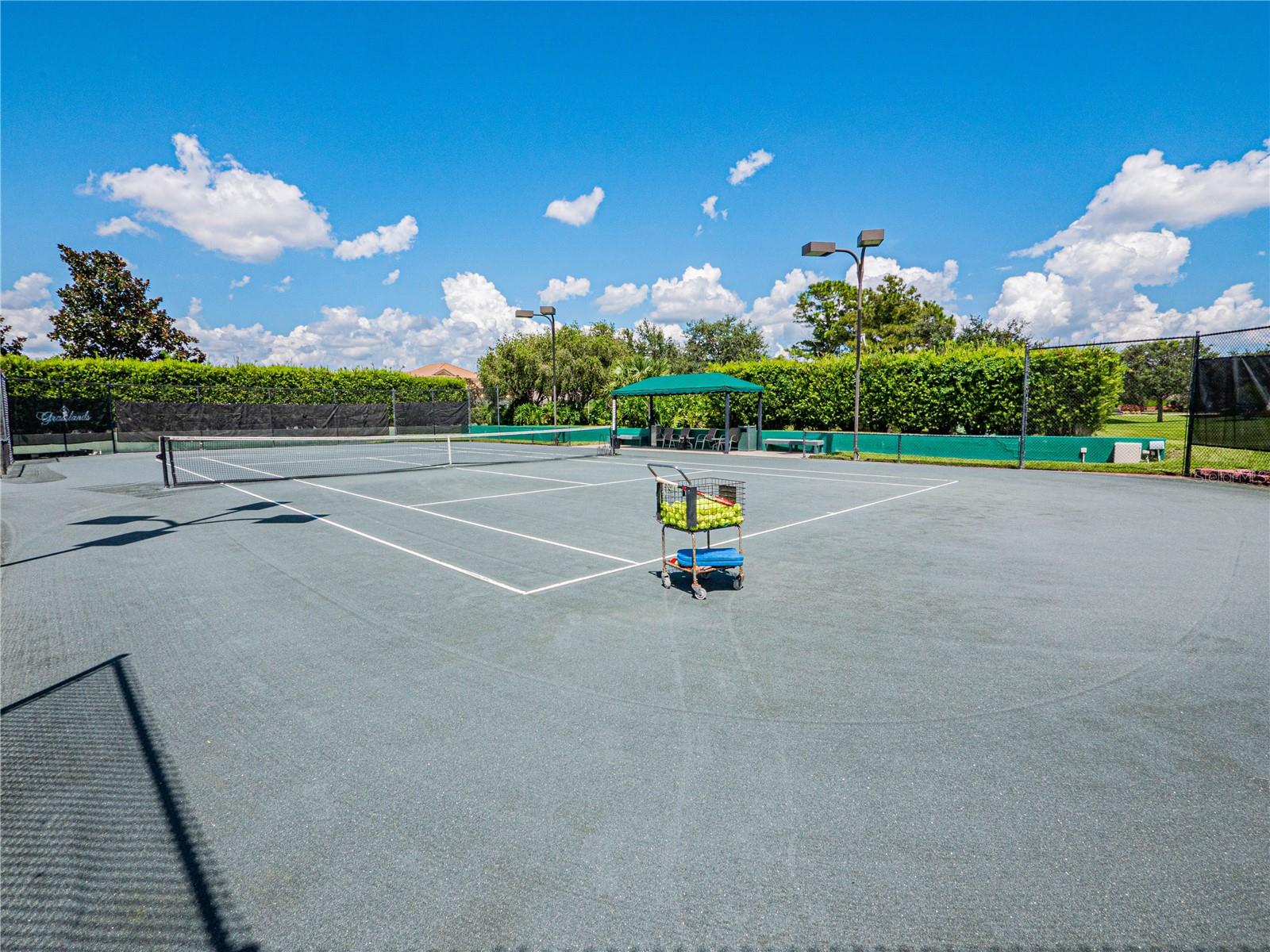 Image 43 of 54 For 774 Grasslands Village Circle 88