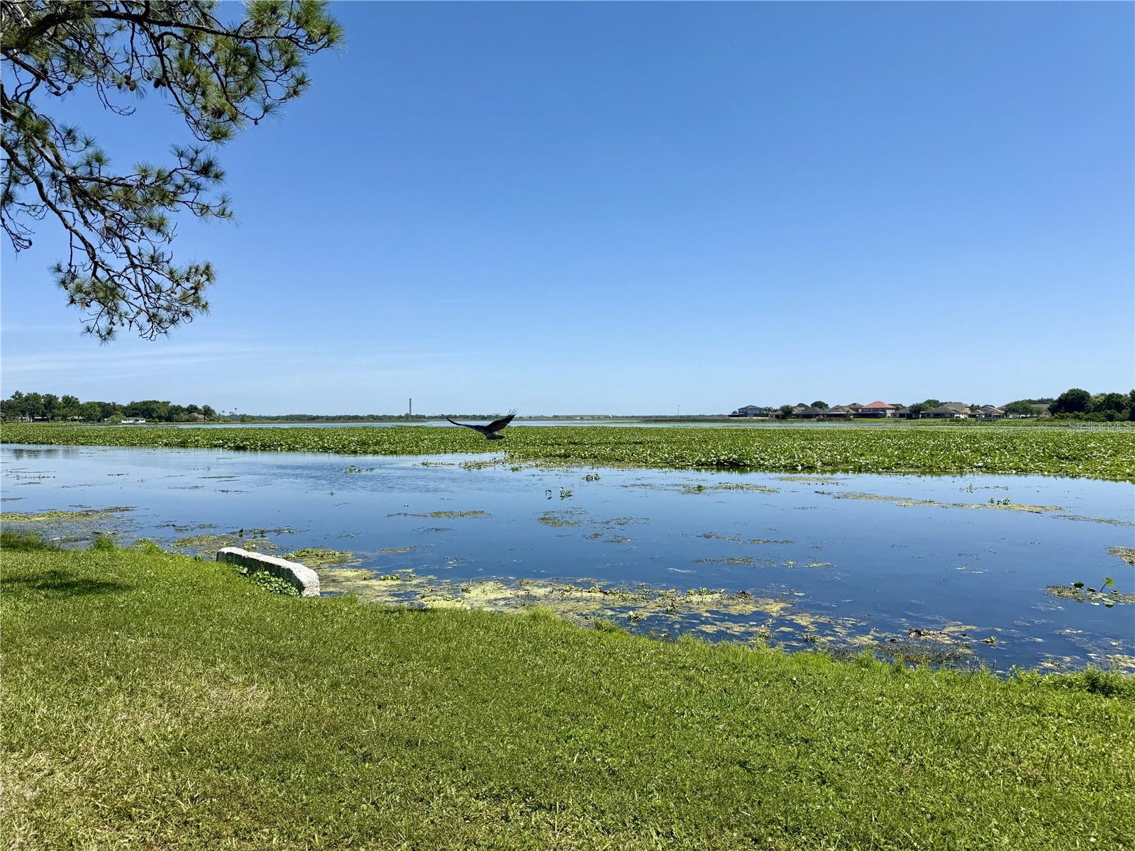 Image 2 of 35 For 1206 Lake Parker Drive