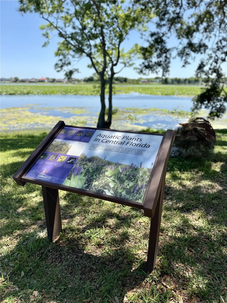 Image 29 of 35 For 1206 Lake Parker Drive