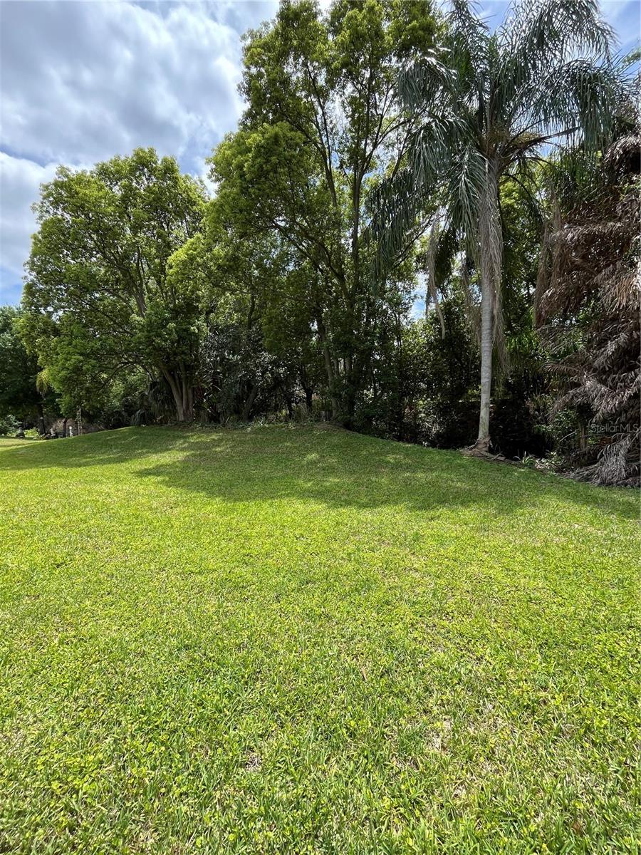 Image 39 of 47 For 1052 Medinah Drive