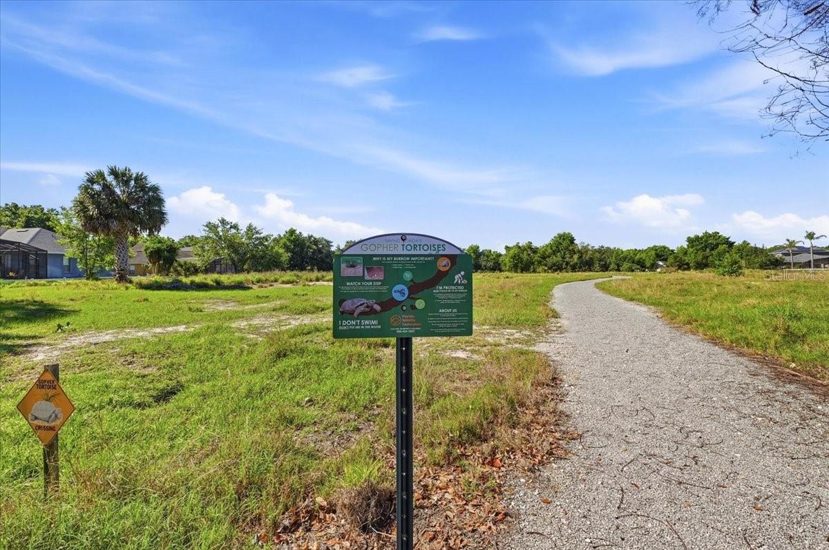 Image 59 of 70 For 445 Amethyst Avenue