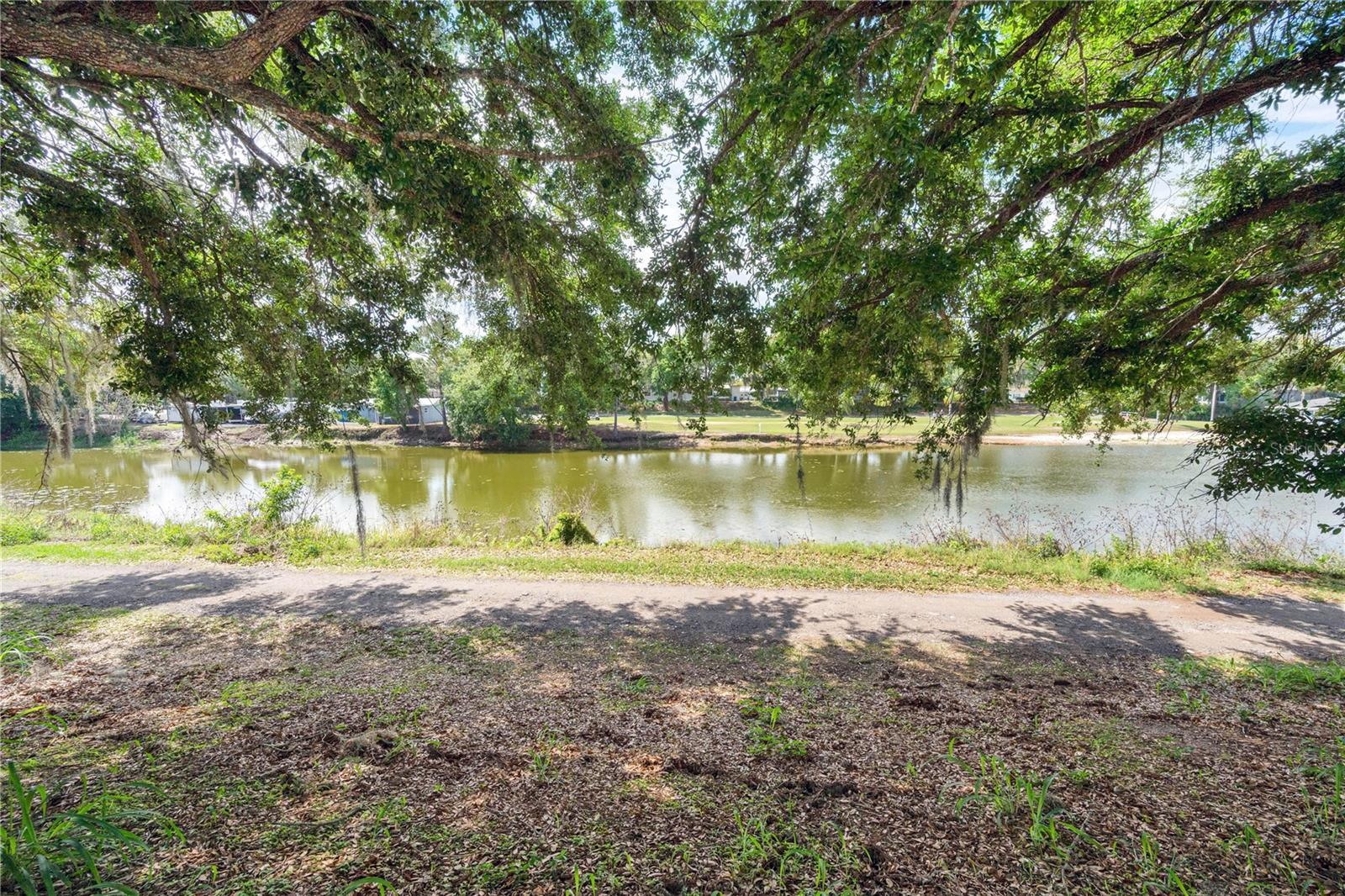 Image 3 of 35 For 4717 Magnolia Preserve Avenue