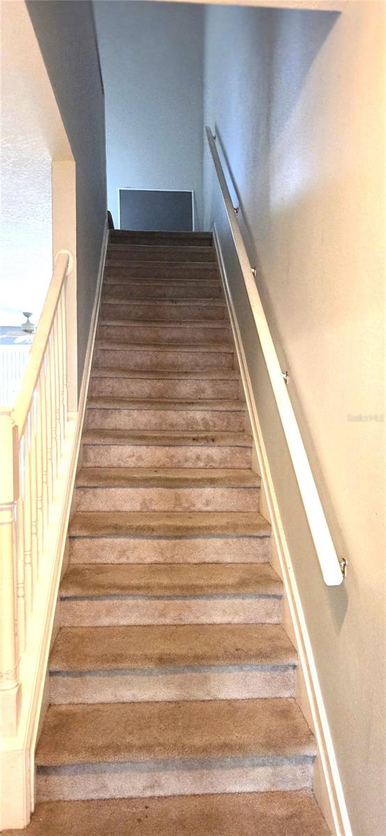 Image 13 of 34 For 2729 Conch Hollow Drive