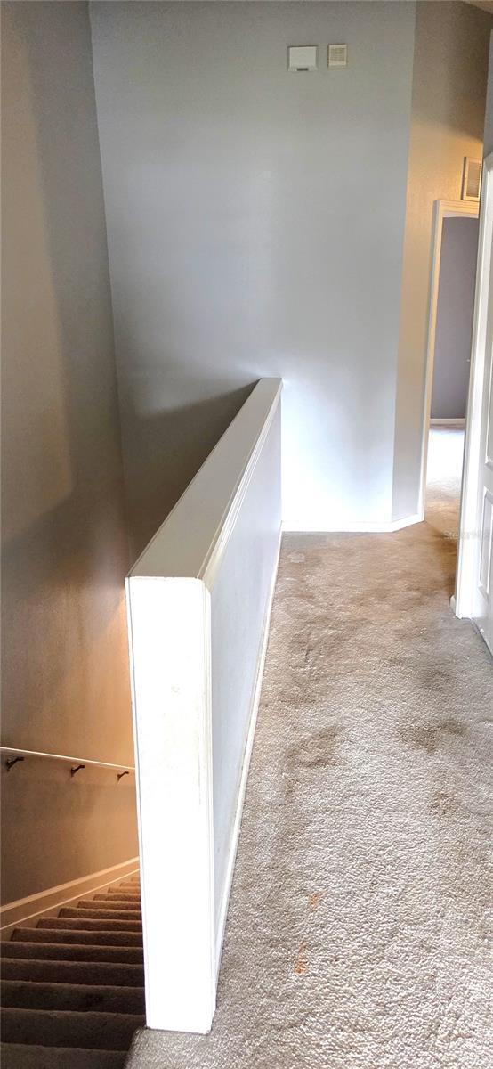 Image 14 of 34 For 2729 Conch Hollow Drive