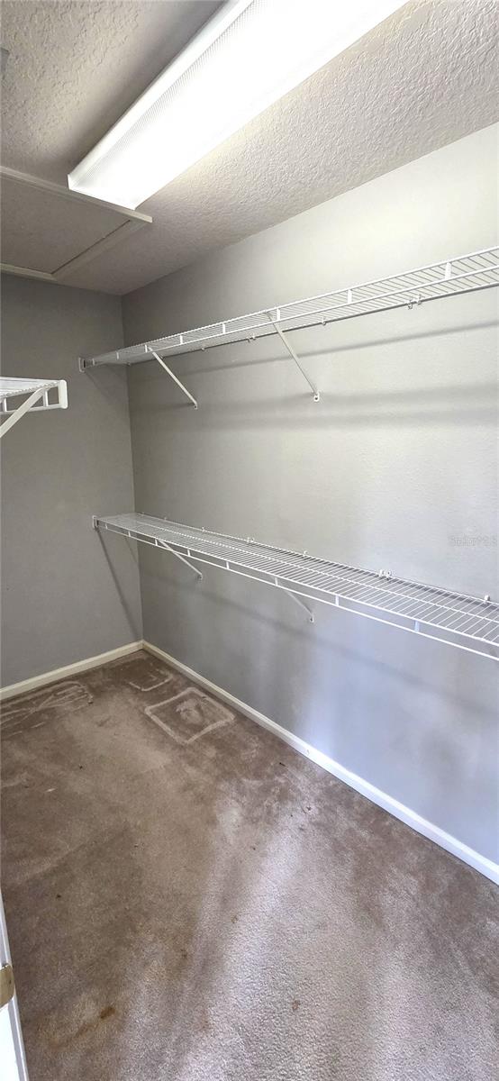 Image 20 of 34 For 2729 Conch Hollow Drive