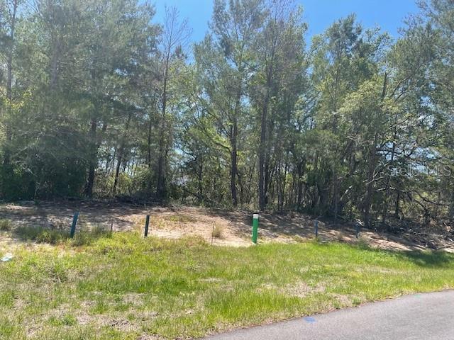 Details for 1342 Homosassa Drive, POINCIANA, FL 34759