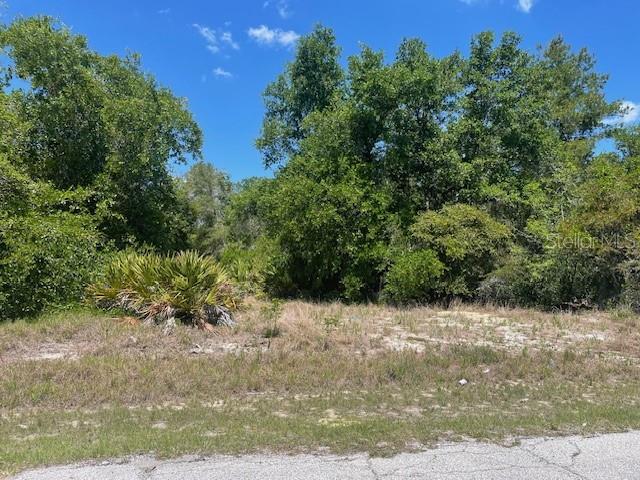Details for Kissimmee Way, POINCIANA, FL 34759