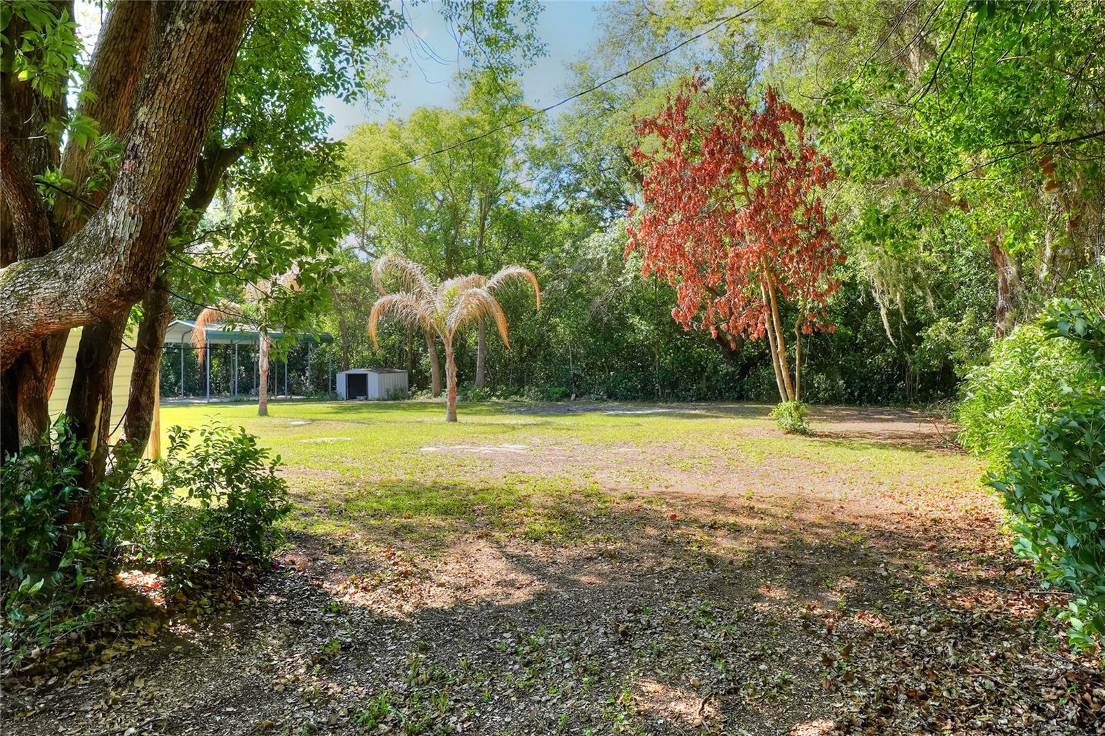 Image 47 of 53 For 321 Kent Road