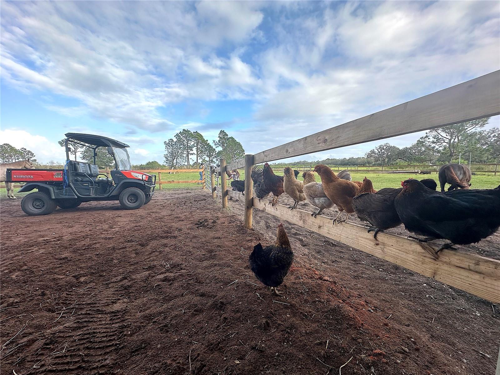 Image 19 of 62 For 3046 Bowden Road