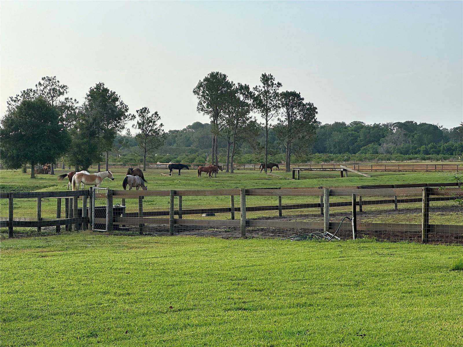 Image 23 of 62 For 3046 Bowden Road