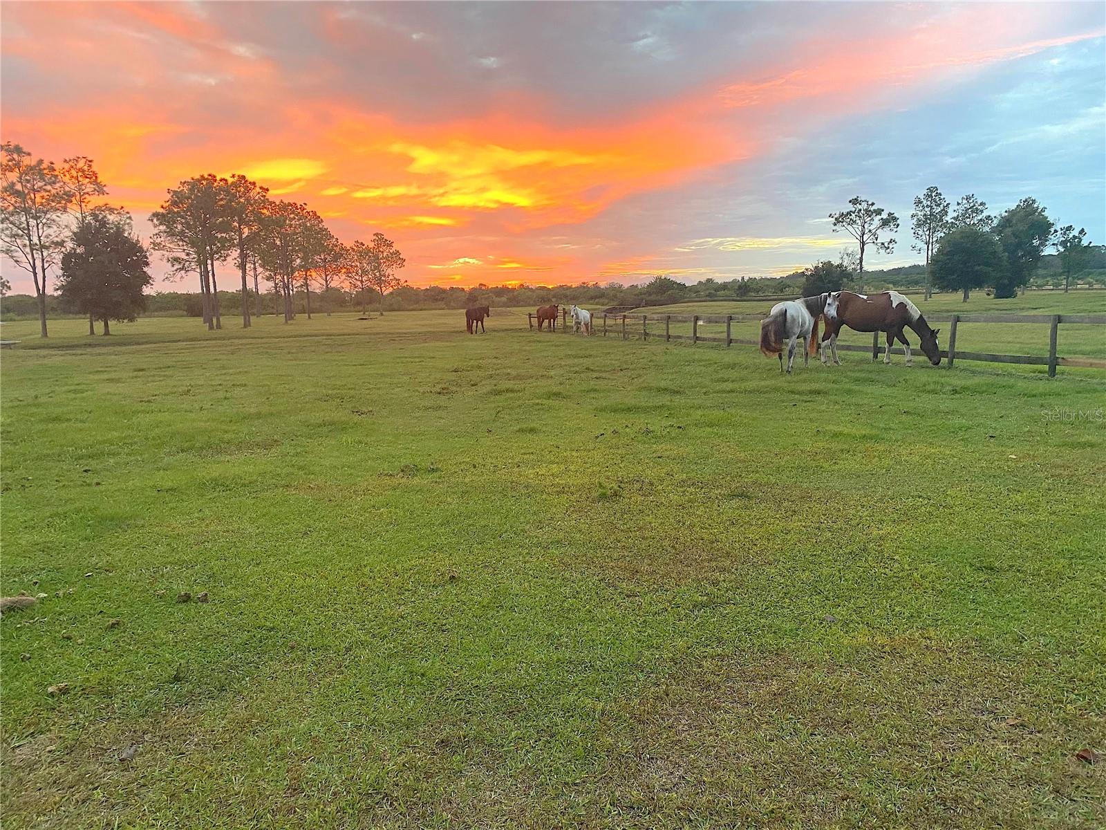 Image 24 of 62 For 3046 Bowden Road