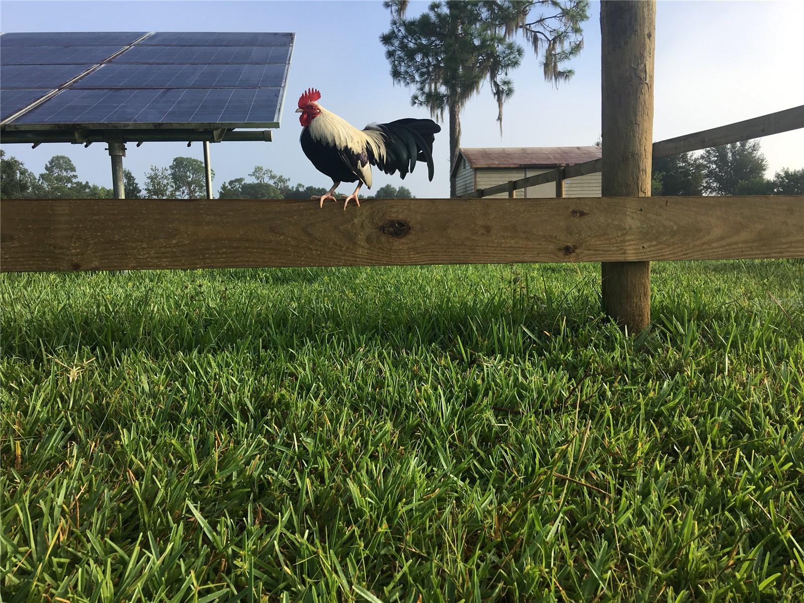 Image 25 of 62 For 3046 Bowden Road