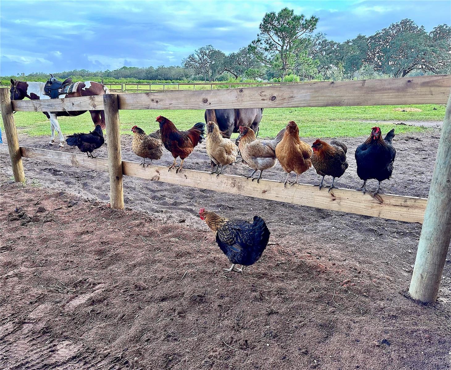 Image 27 of 62 For 3046 Bowden Road