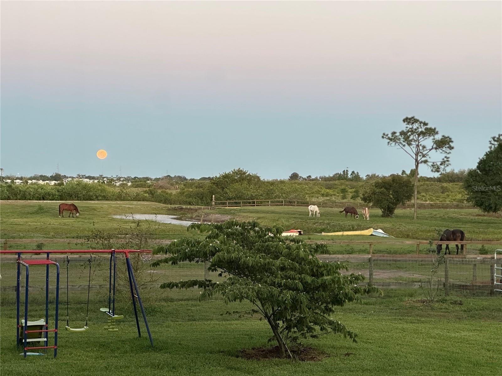 Image 29 of 62 For 3046 Bowden Road