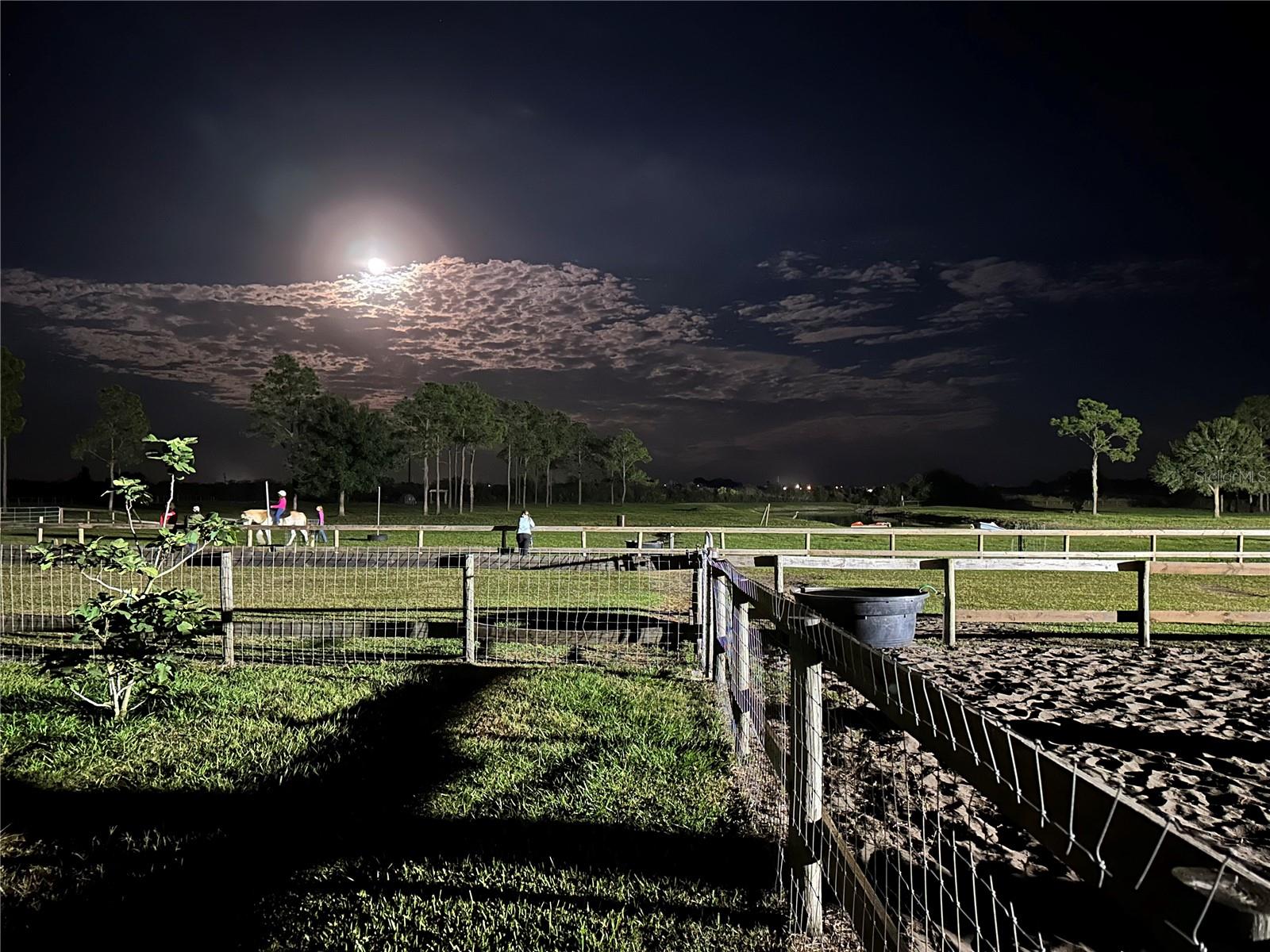 Image 31 of 62 For 3046 Bowden Road