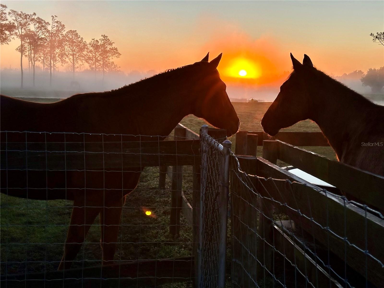 Image 58 of 62 For 3046 Bowden Road