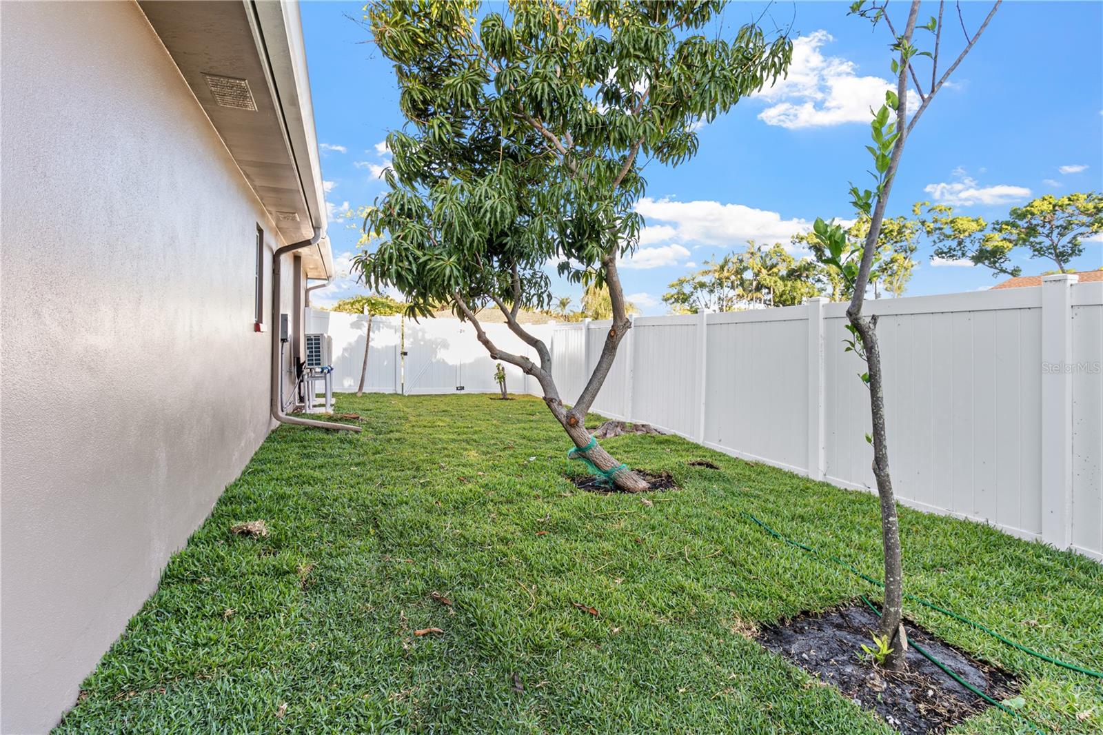 Image 54 of 59 For 1929 Valencia Way