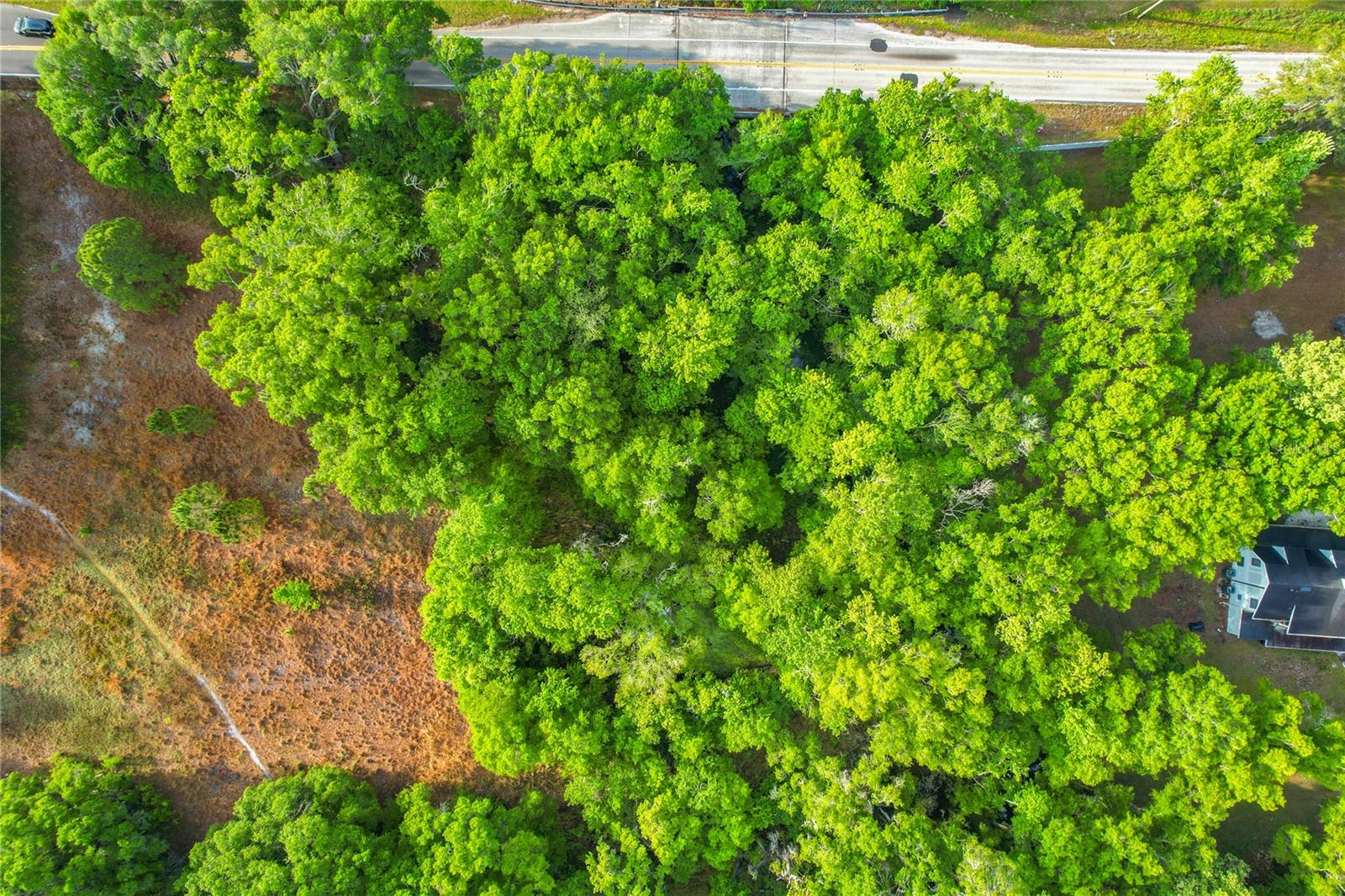 Image 18 of 45 For 1301, 1225, 1215 Duff Rd