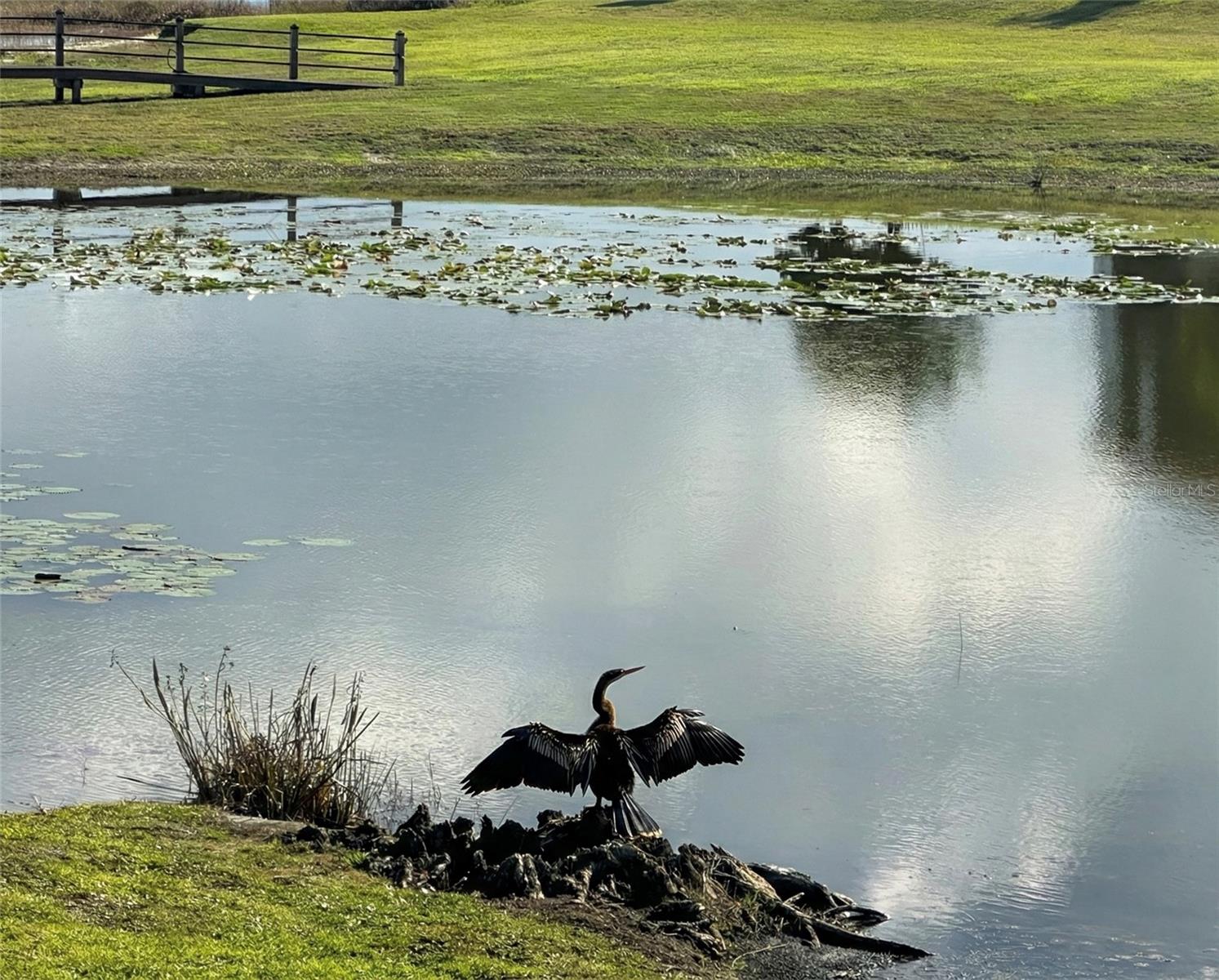 Image 29 of 33 For 236 Caladium Avenue