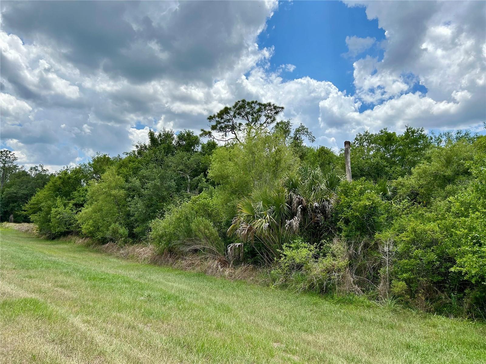 Image 8 of 14 For Bronco Drive