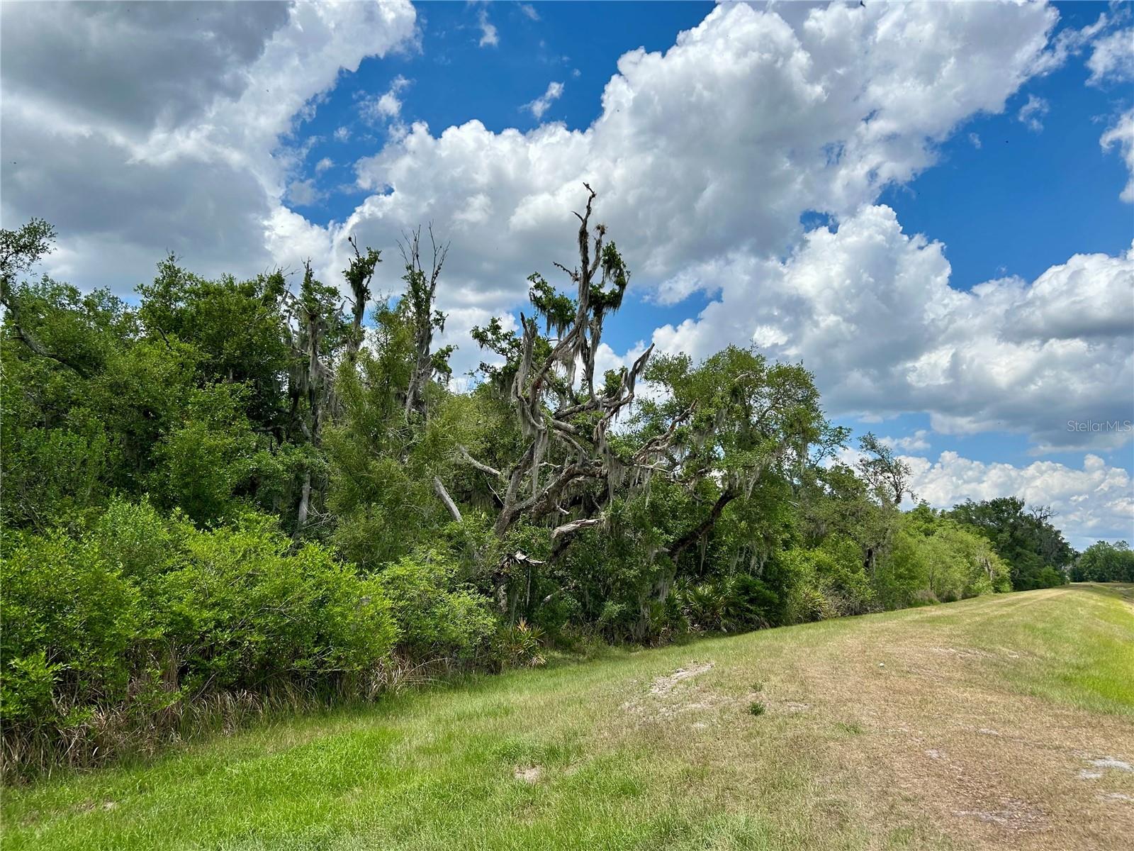 Image 9 of 14 For Bronco Drive