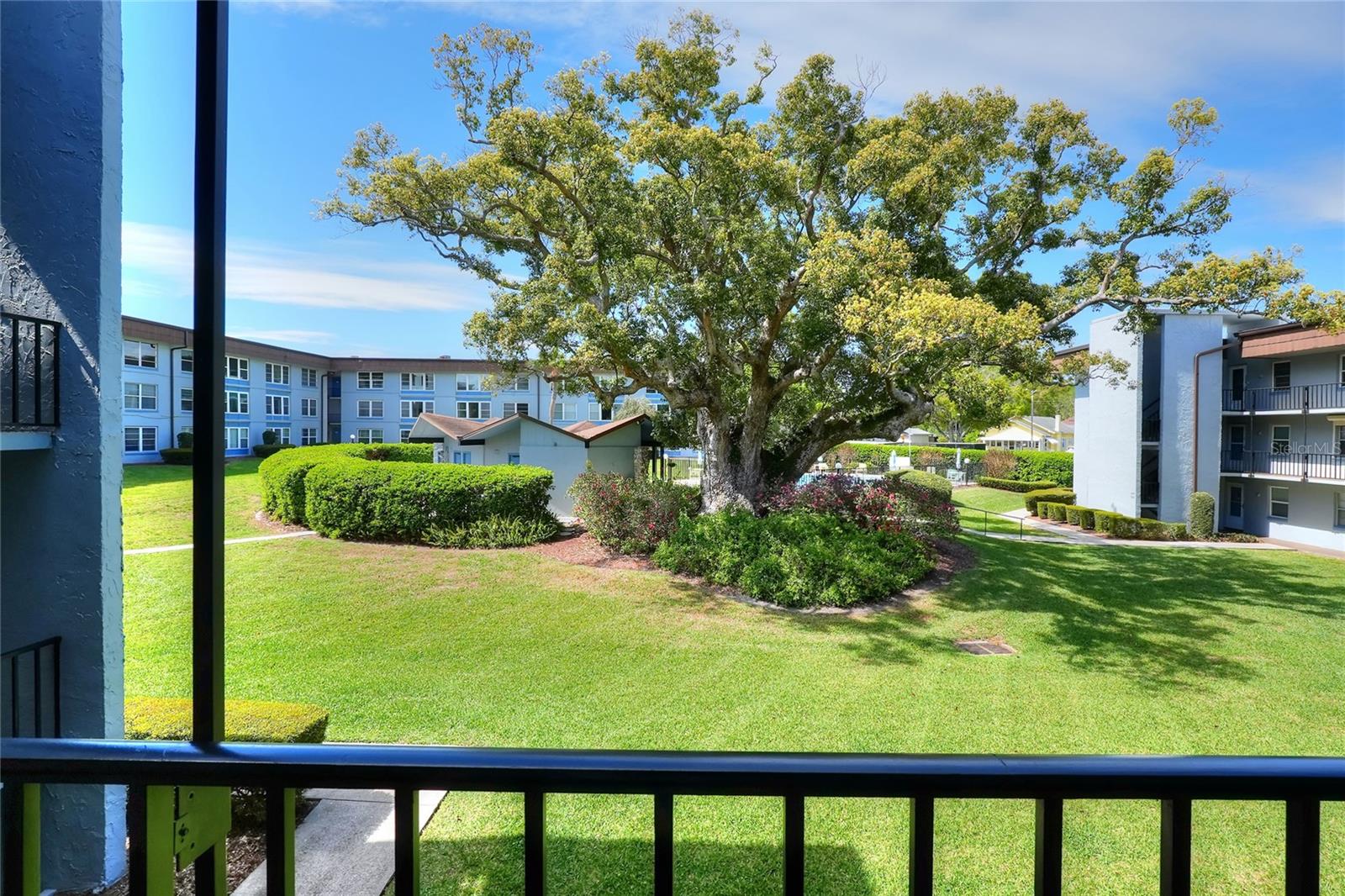 Image 5 of 43 For 333 Lake Howard Drive Nw 203c
