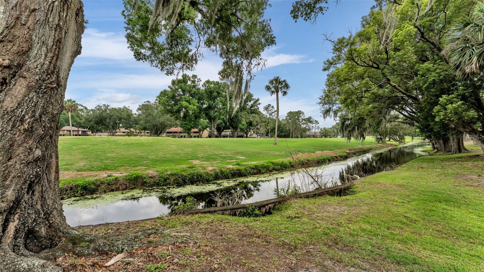 Image 77 of 83 For 421 Lone Palm Drive