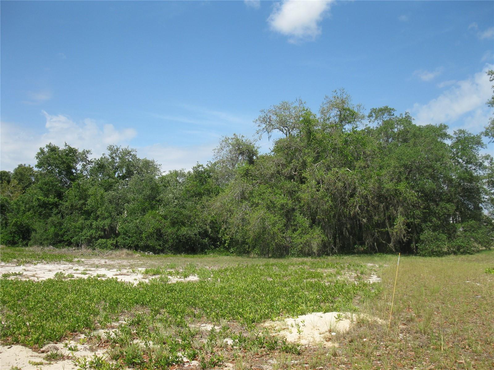 Details for 4199 Jacaranda Drive, LAKE WALES, FL 33898