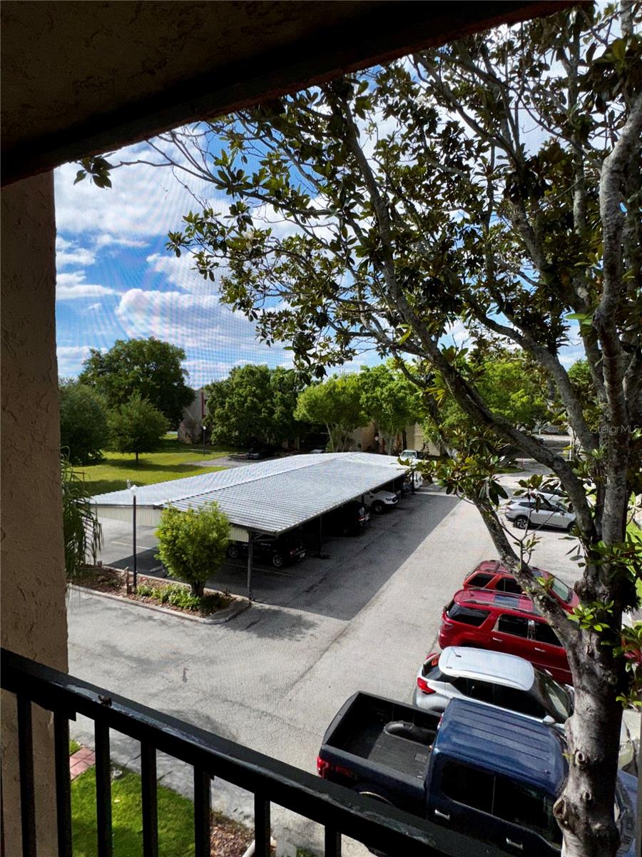 Image 21 of 25 For 1130 Lake Parker Avenue E332