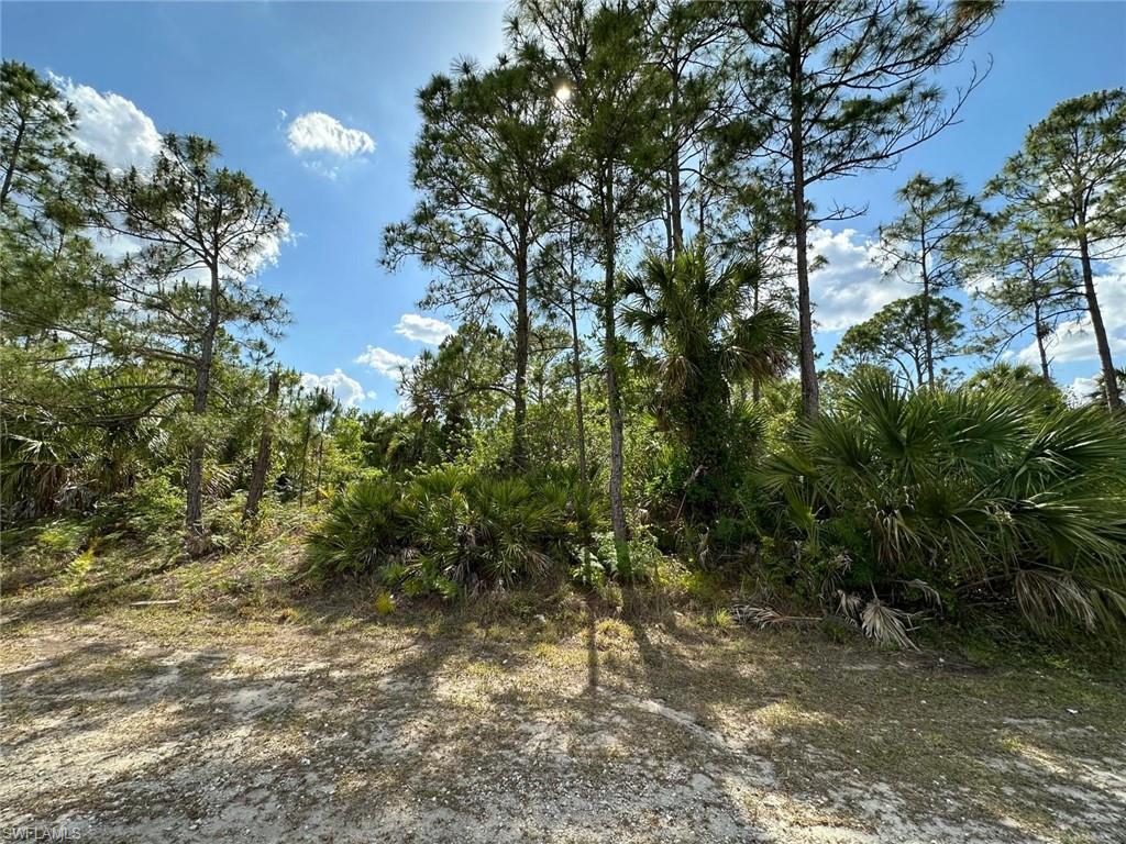 Listing Details for  11th St Sw , OTHER, FL 34117