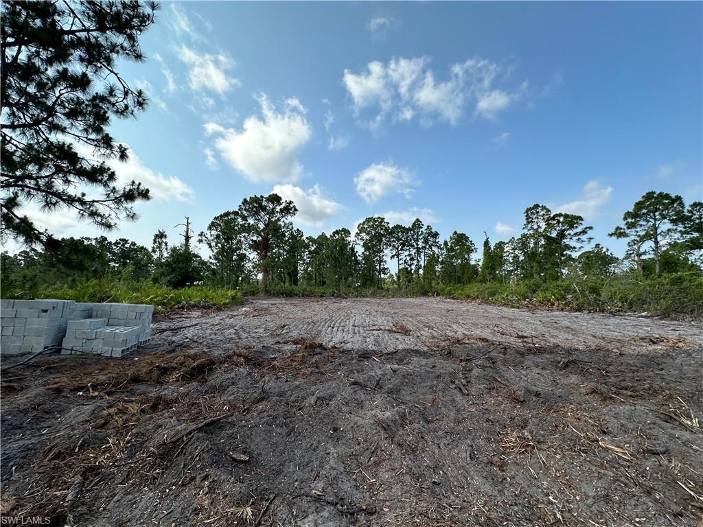 Listing Details for 1128 Darling St E, LEHIGH ACRES, FL 33974