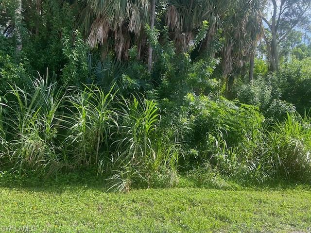 Listing Details for Lot 19 Tbd Pine Tree Dr, NAPLES, FL 34112