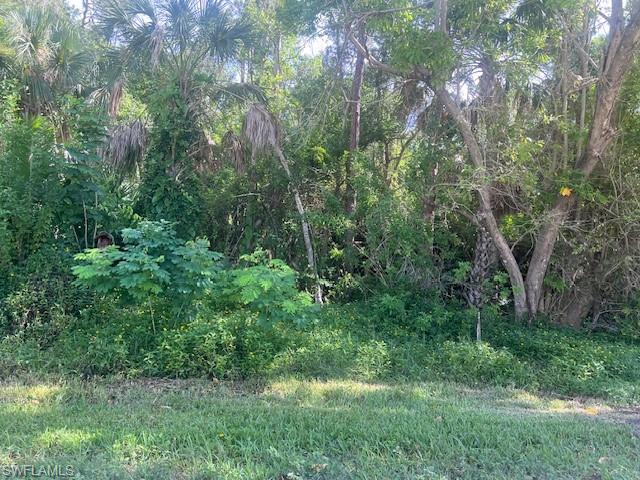 Listing Details for Lot 24 Tbd Pine Tree Dr, NAPLES, FL 34112