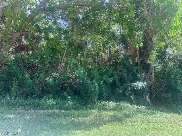 Listing Details for Lot 20 Tbd Pine Tree Dr, NAPLES, FL 34112